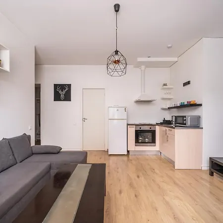 Residential In Near Agenskalna Quarter * Riga