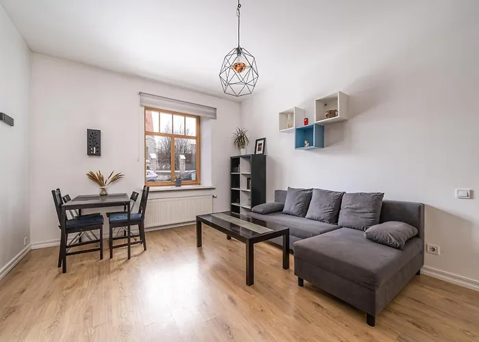 Residential In Near Agenskalna Quarter Apartment Riga