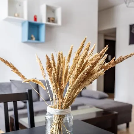 Residential In Near Agenskalna Quarter Riga